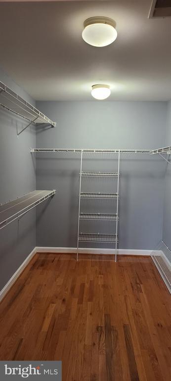 Building Photo - 15309 Lions Den Rd