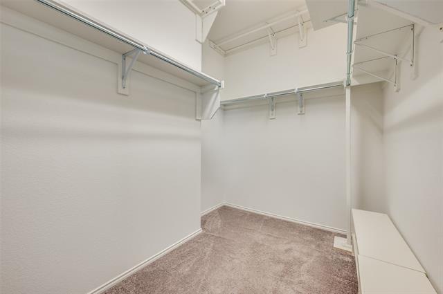 Building Photo - 1309 Roadrunner Dr