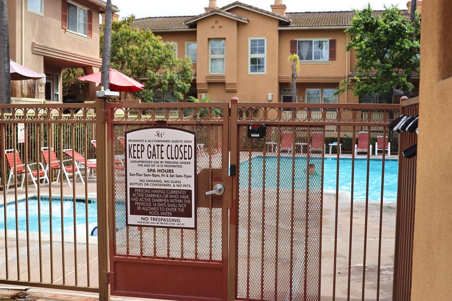 Main Pool and Spa - 523 W Summerfield Cir