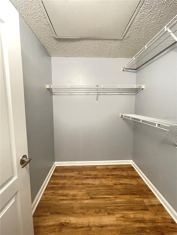 Building Photo - 12203 Wild Iris Way