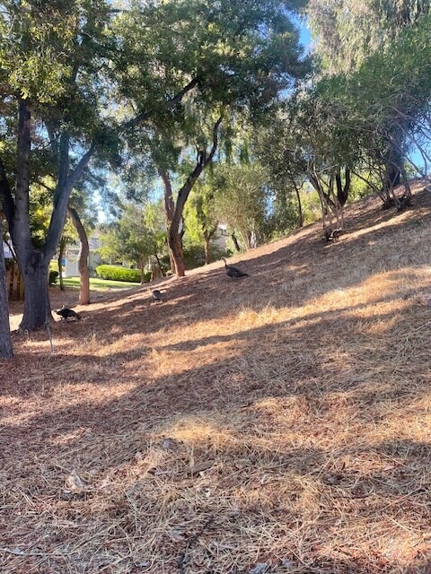 Building Photo - 9 Moraine Ct