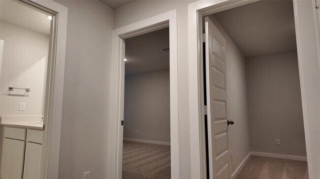 Building Photo - 8519 Blueberry Ash St