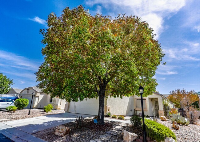 Building Photo - 3 Bedroom Single Story Northwest Vegas Home