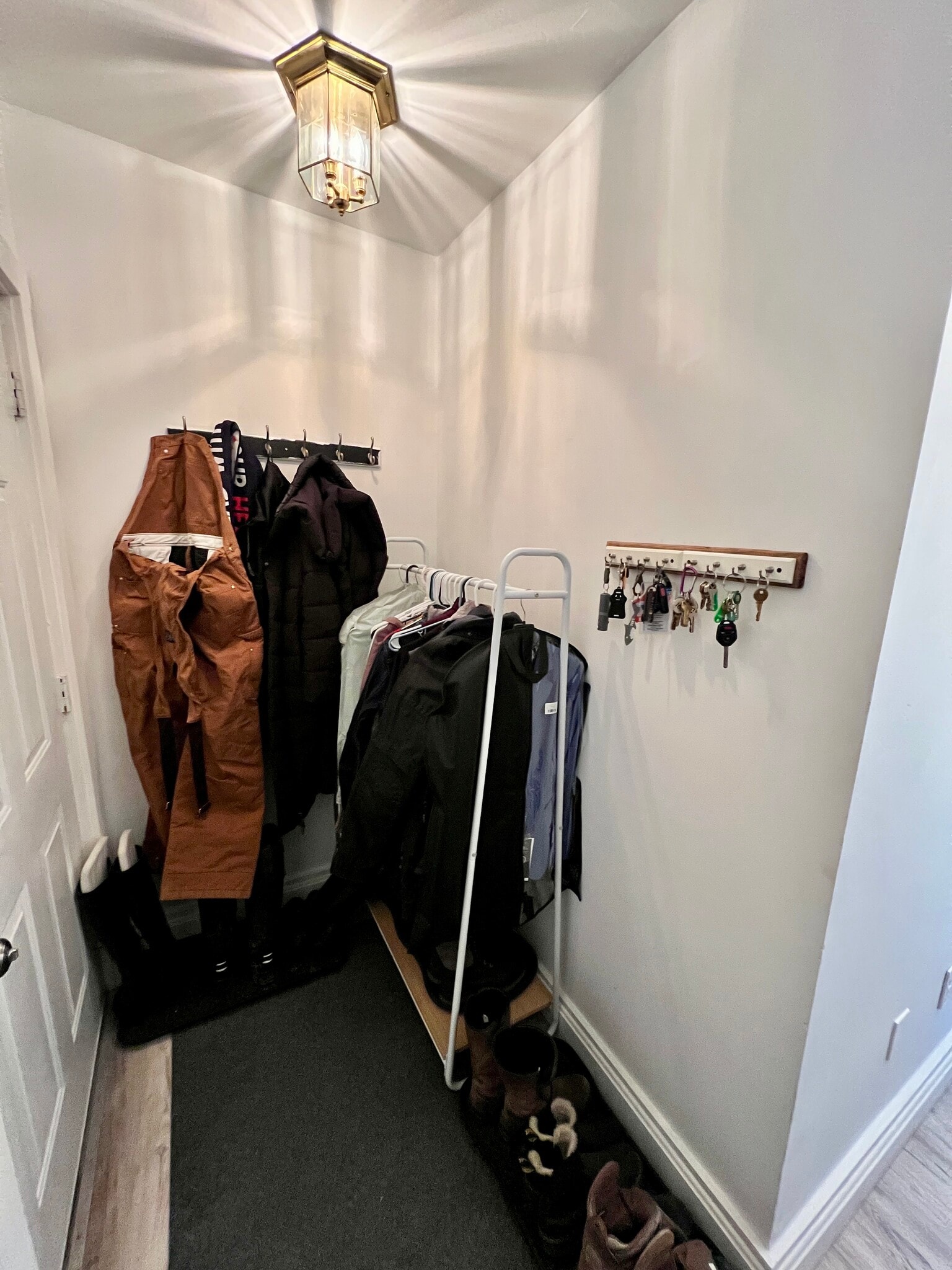 Back hall and entrance - 94 Graham St