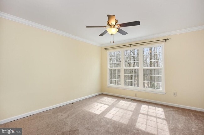 Building Photo - 1838 Oxford Square