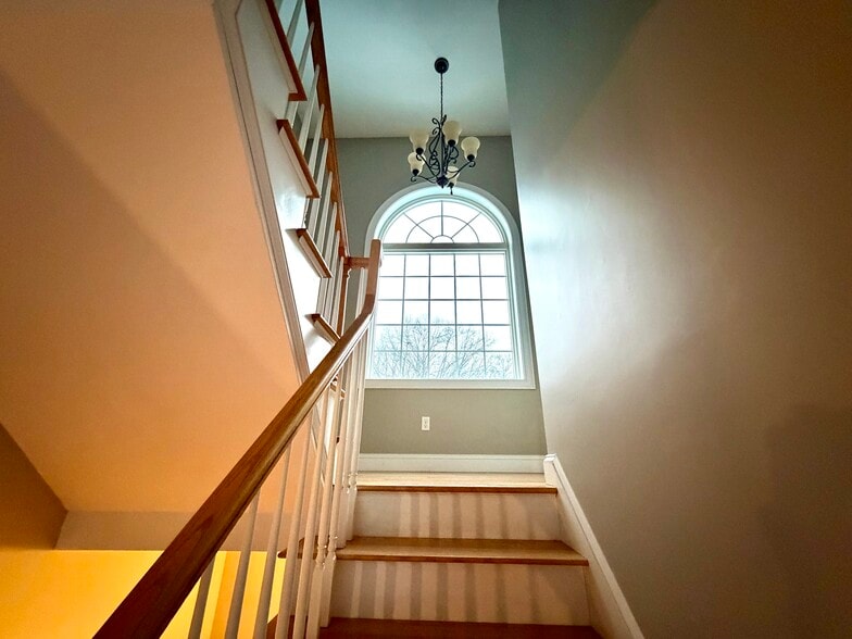 Building Photo - 46B Dominion Rd