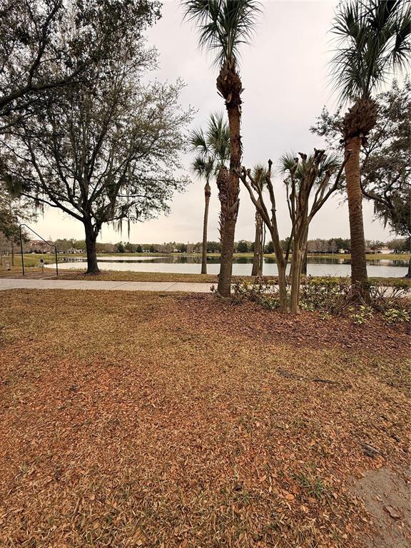 Building Photo - 11456 Center Lake Dr