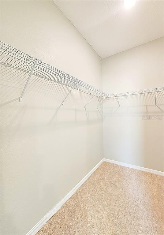 Building Photo - 1686 Swan Swim Dr