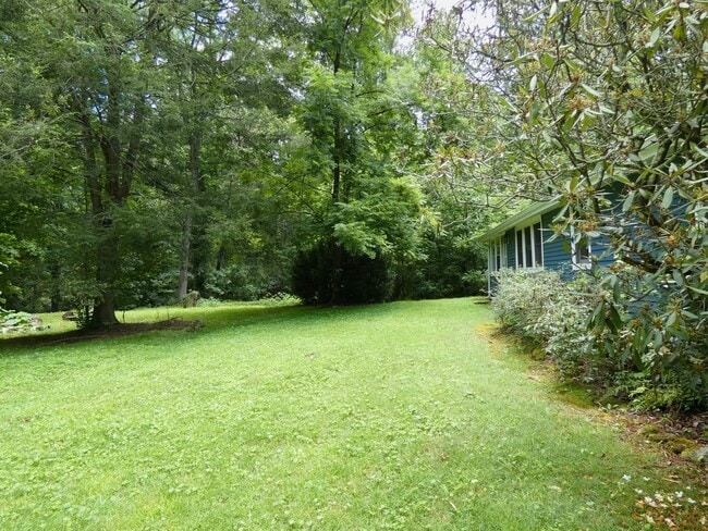 Building Photo - Pisgah Cottage
