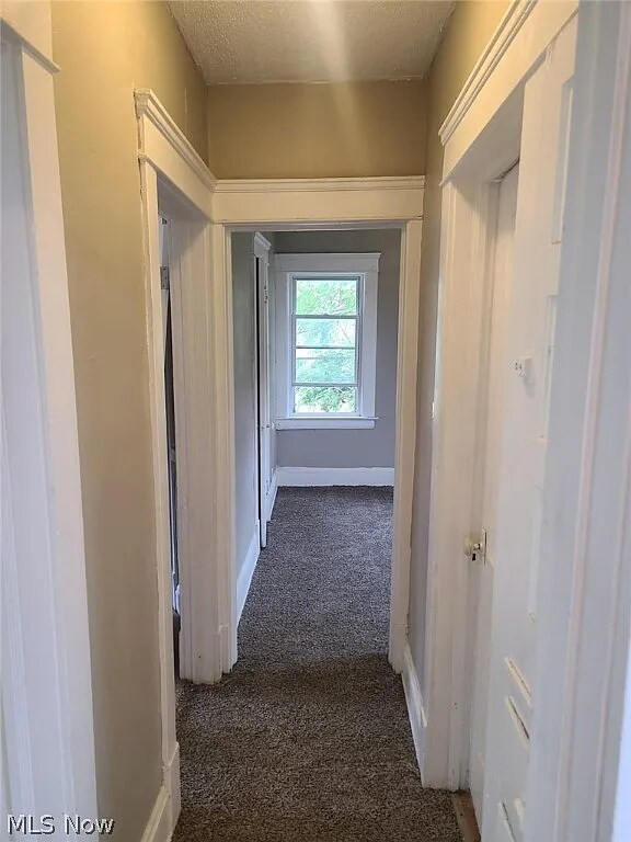 Building Photo - 1830 Mannering Rd