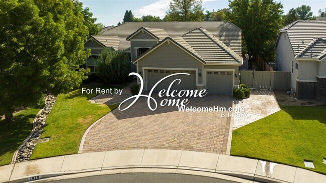 Building Photo - 1879 Rolling Brook Ct