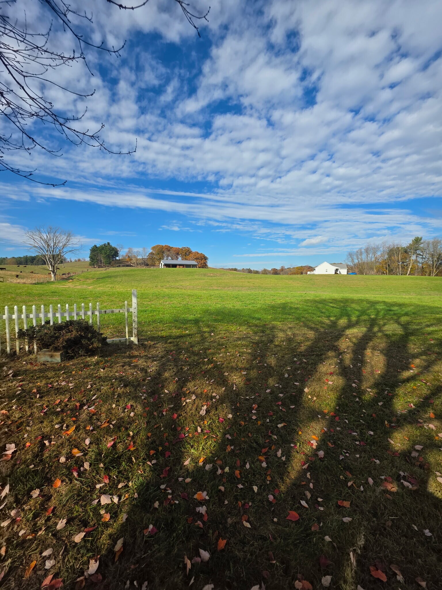 Building Photo - 3187 Licking Valley Rd