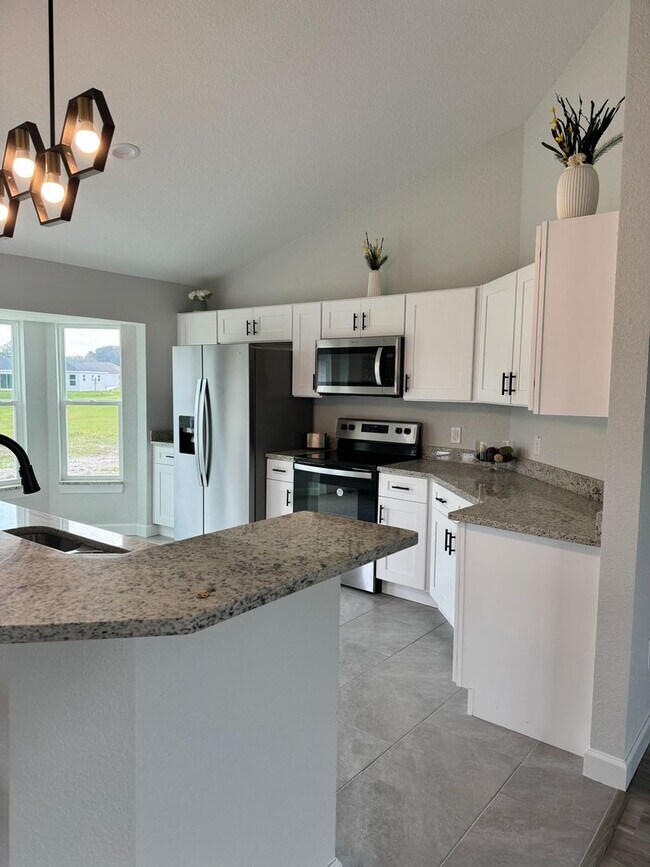 Building Photo - Bushnell 3BR/2BA Home! Brand New Everythin...