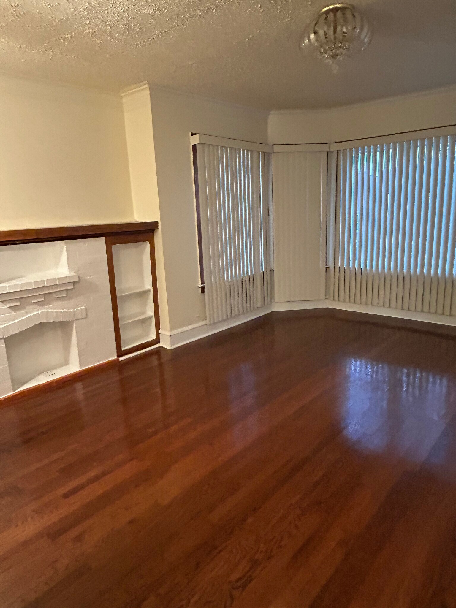Living Room - 8128 S Marshfield Ave