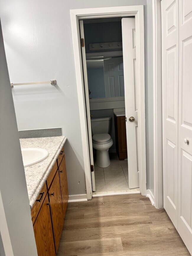 Vanity in Master leading to Hallway Shared Bathroom - 4790 Champion Way