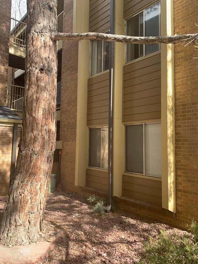 Building Photo - BEAUTIFUL One Bed on Madison Ave, Close to Campus! Corner Unit