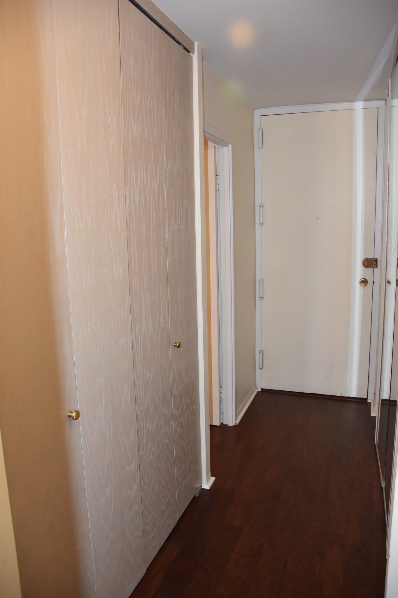 Entrance closet #2 - 1636 N Wells St