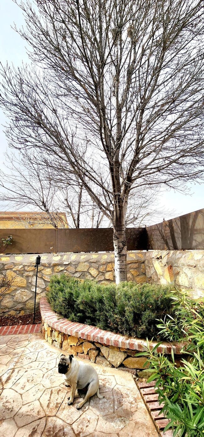 Building Photo - 3113 Rustic Manor Pl