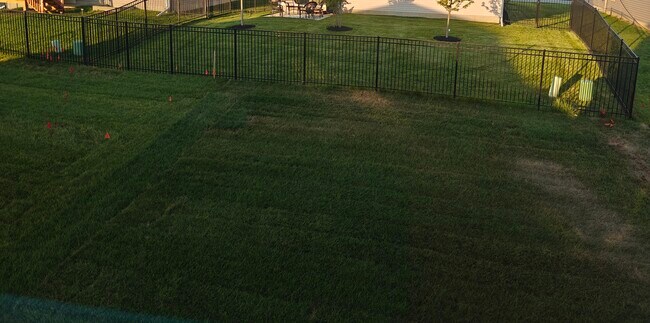 Backyard - 10809 S 178th Ave