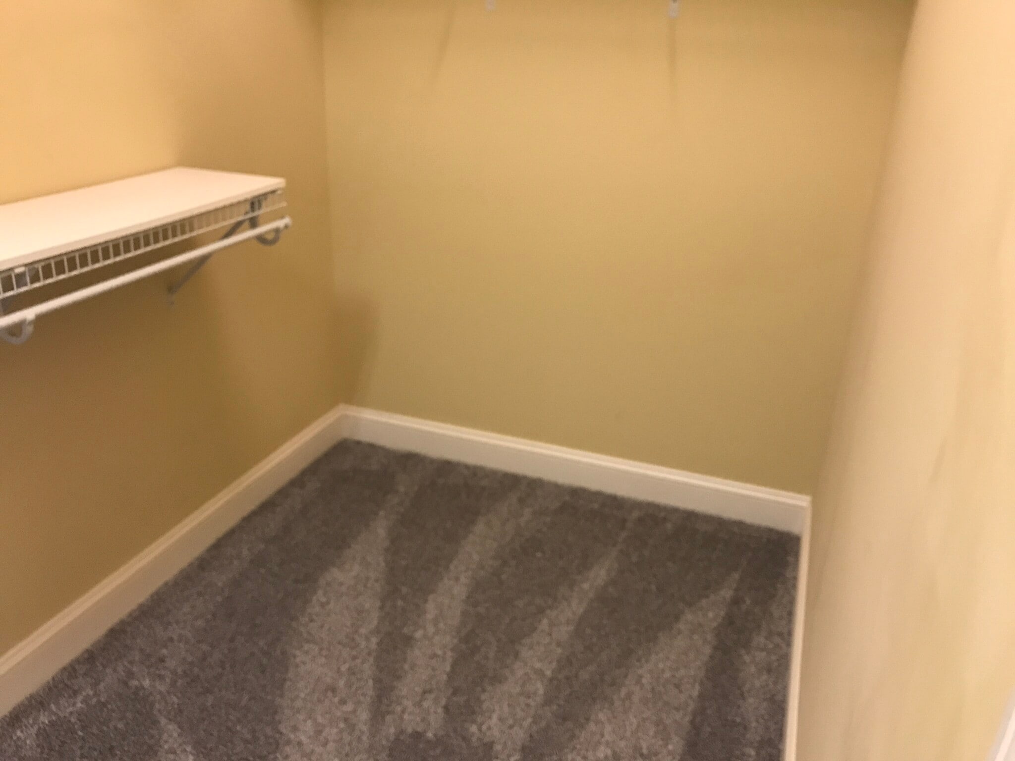 primary walk in closet - 1931 Dante Ln