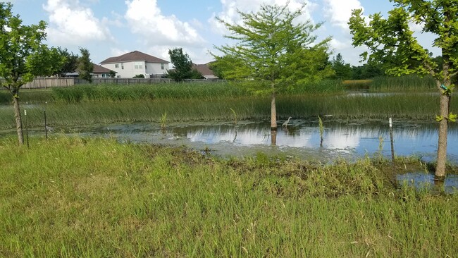 wATERFOWL IN PARK BEHIND HOME - 1613 Apollo Cir