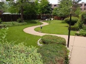 Beautiful Serene feel - 2227 Canyon Blvd