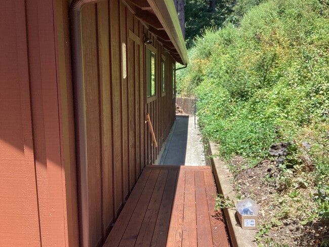 Building Photo - Sunny Redwoods