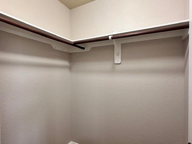 Building Photo - 26012 Bassfield Ln.