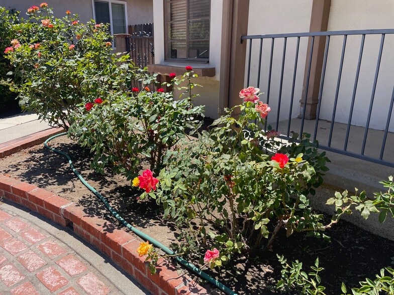 Building Photo - 10513 Grovedale Dr