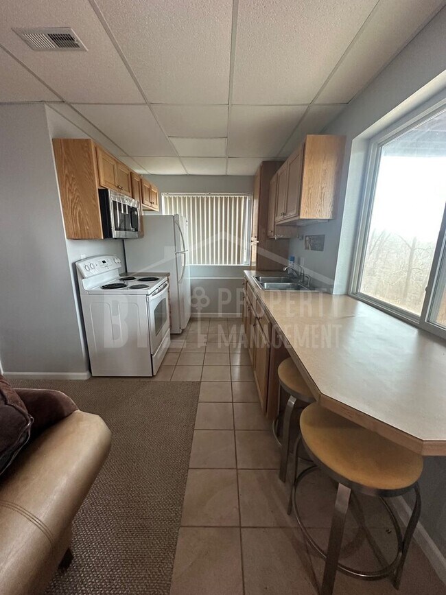 Building Photo - Fantastic Furnished 1 Bedroom Condo