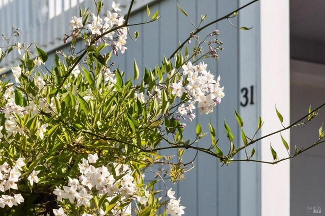 Building Photo - 31 Antilles Way