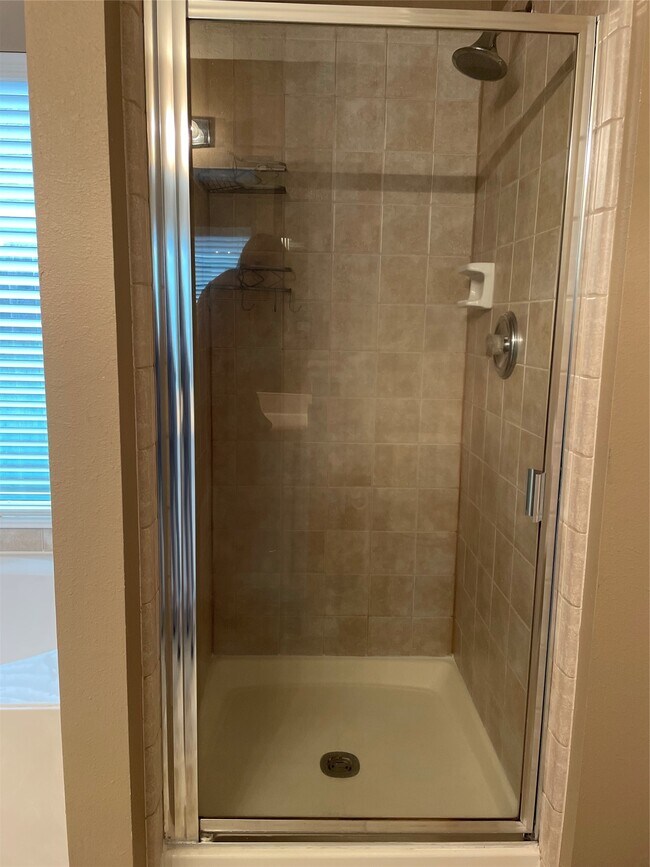 Building Photo - 893 Bent Sail Ln