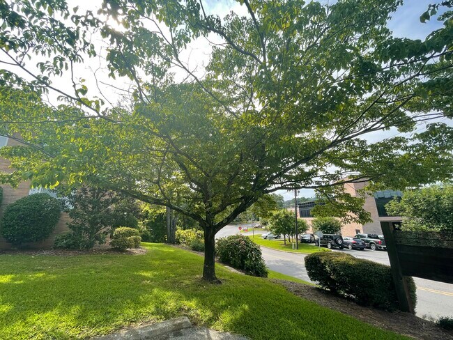 Entrance + Neighborhood - 3337 Old Montgomery Hwy