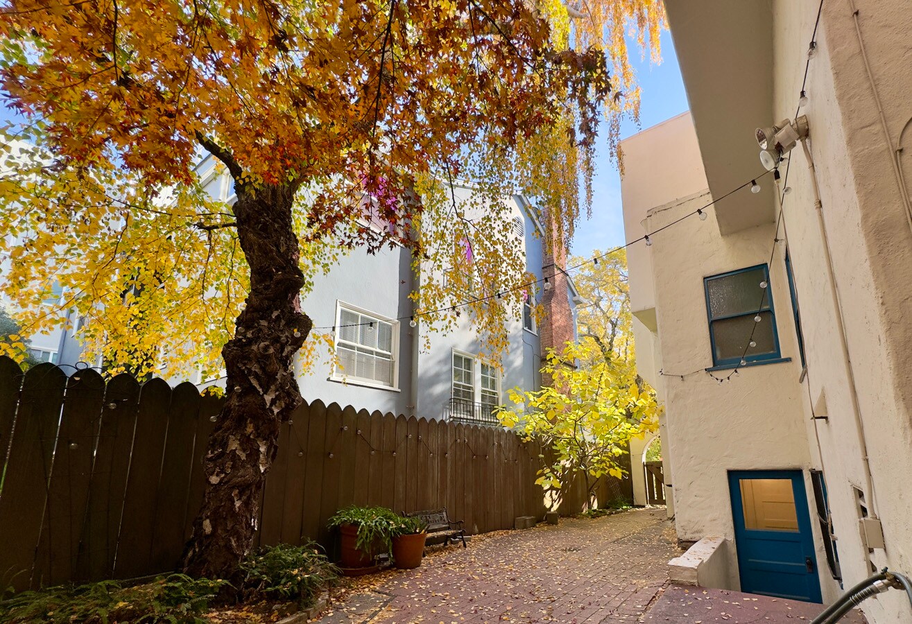 Building Photo - 1645 Scenic Ave