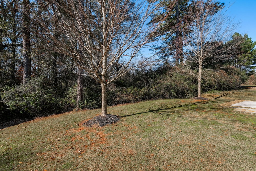 Building Photo - 2115 Malanga Ct