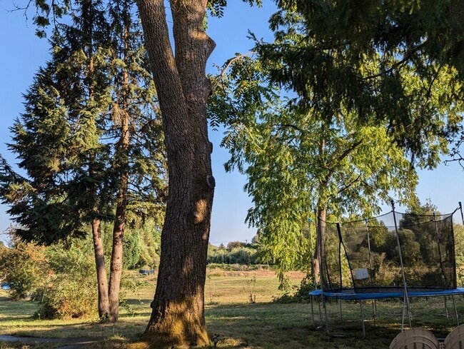 Building Photo - 19105 NE 112th Ave