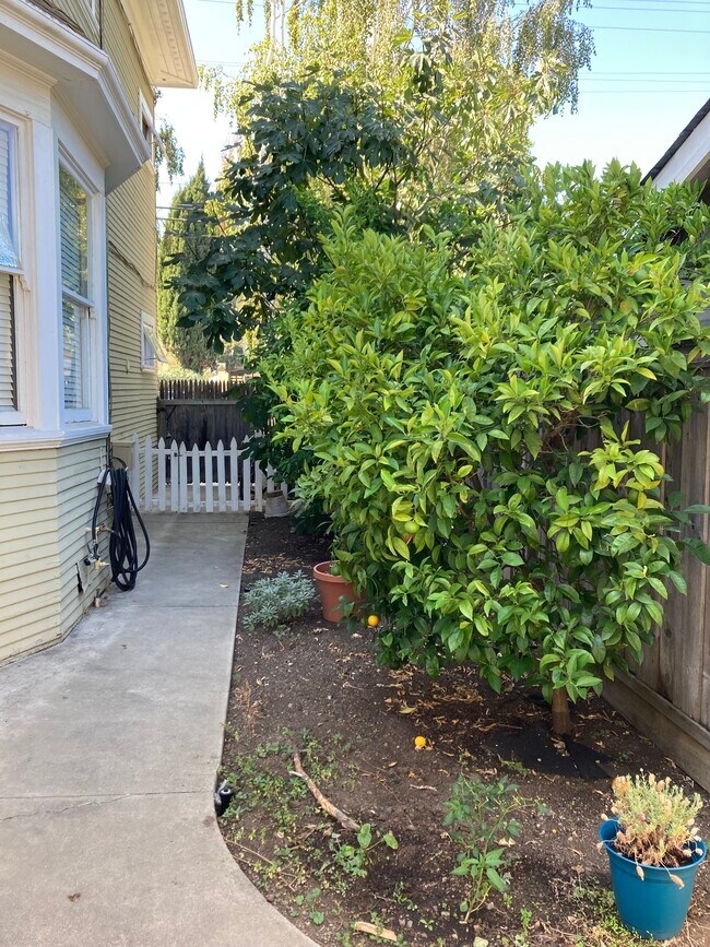 Building Photo - 1610 California St