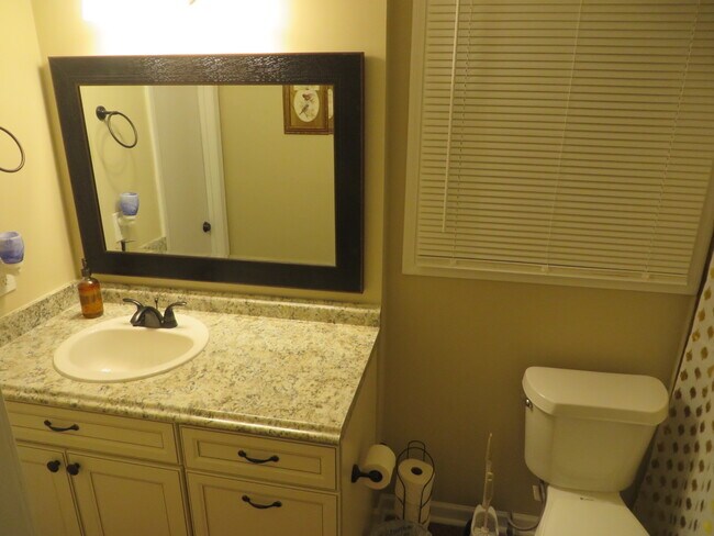 Hallway bathroom - 3755 Cedar Hurst Way