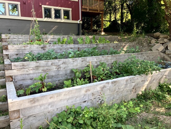 Raised beds - 5352 SW Custer St