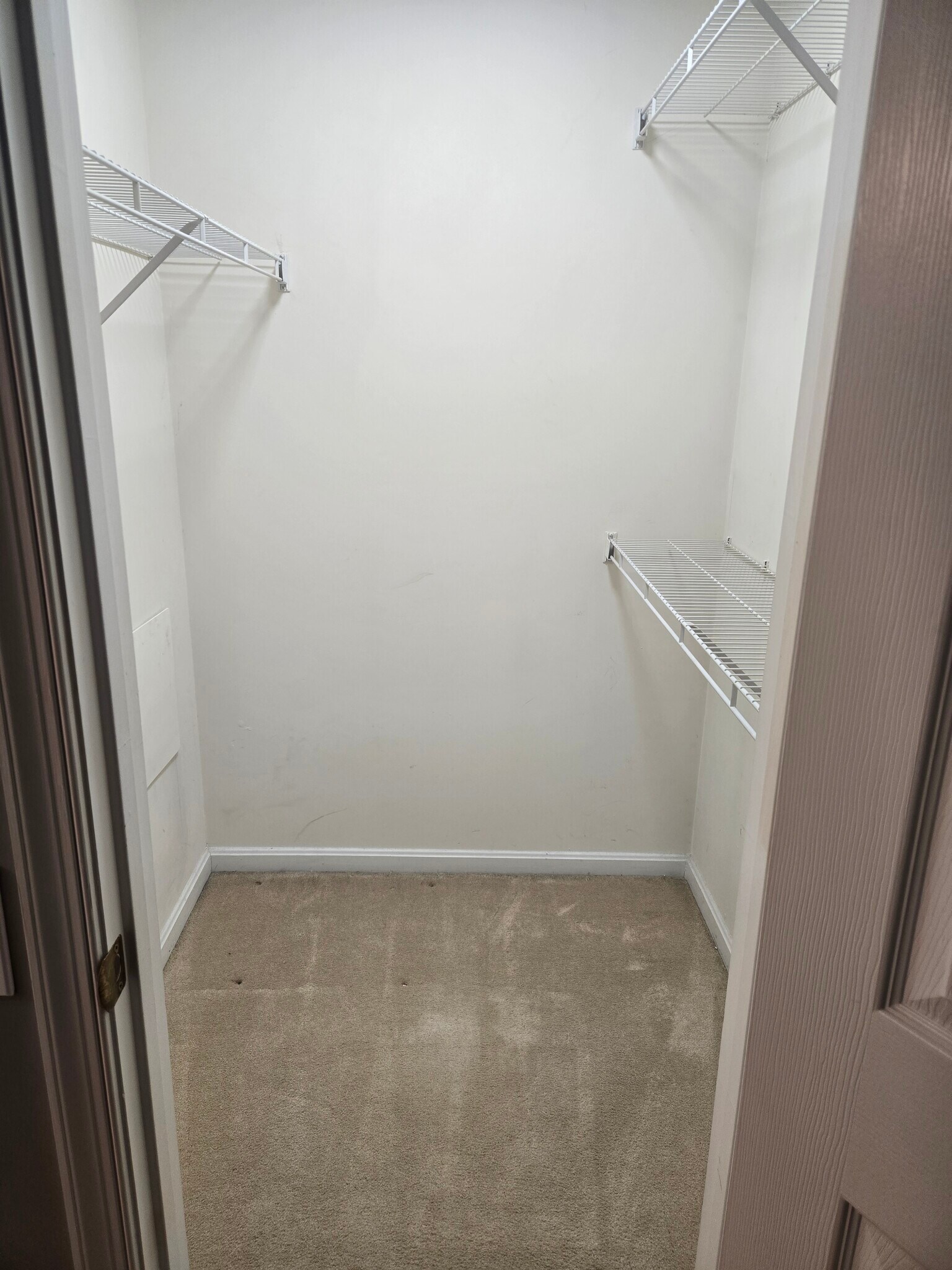 Building Photo - 9240 Cardinal Forest Ln