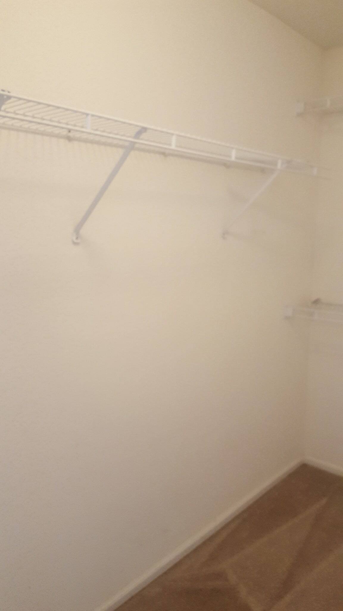 Building Photo - 4877 Halifax Street