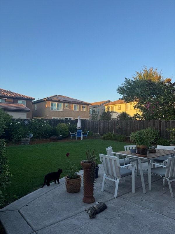 Building Photo - 1800 Kyle Pl