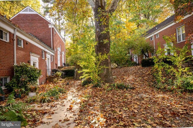 Building Photo - 3626 Gunston Rd