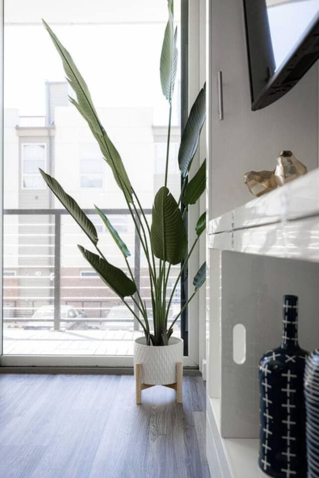 Building Photo - 12607 Larchmere Blvd