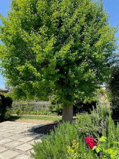 Building Photo - 30895 Palo Alto Dr