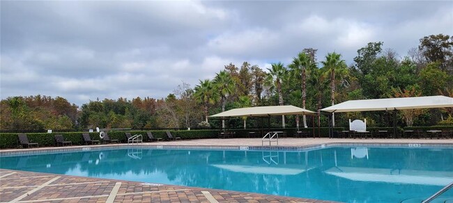 Building Photo - 15226 Pacey Cove Dr