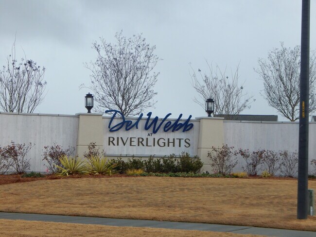 Building Photo - Beautiful home in Del Webb by Riverlights (55 and over community)