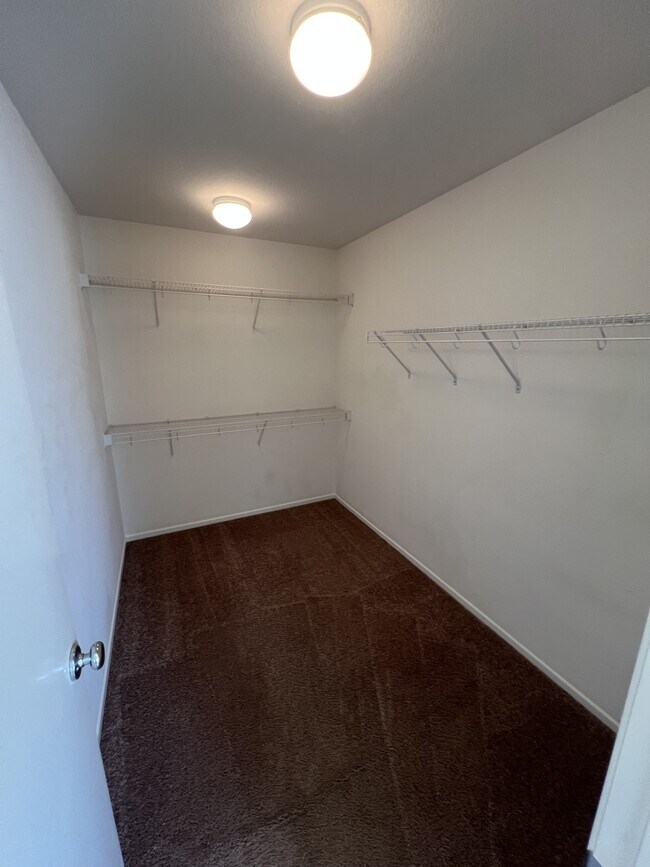 Building Photo - 32785 Paterno St
