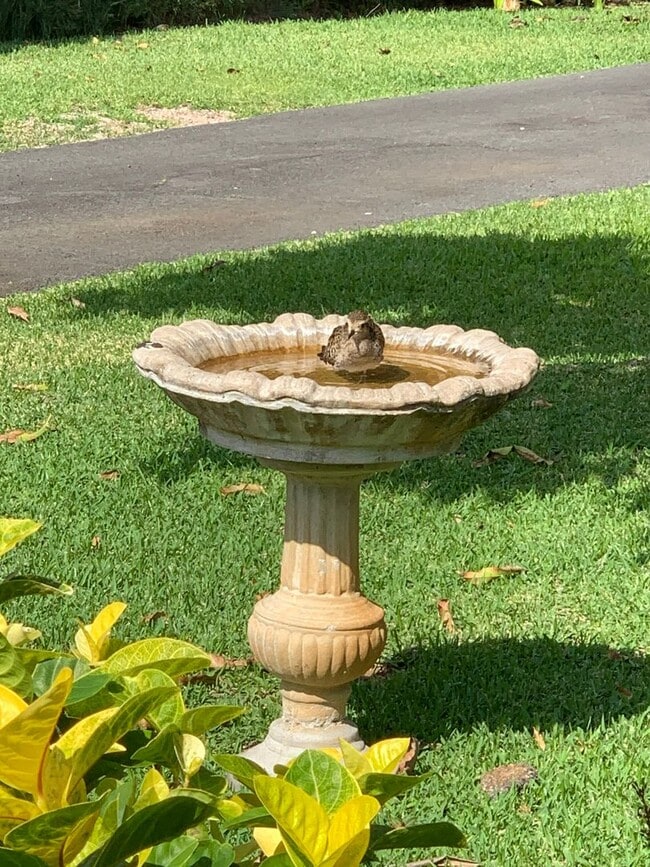 Building Photo - Furnished Kaimalino House Fronting Canal & Overlooking Kailua Bay