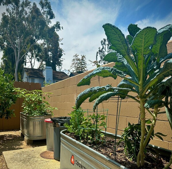 Building Photo - 570 S Lincoln Ave